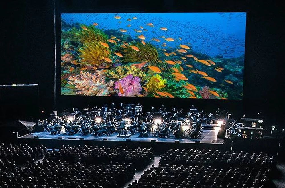 indoor led screen full color p2.976 p3.91 p4.81 rental led display