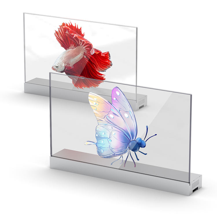 Introduction and Elimination Method of Moir é Pattern on Full Color LED Display Screen
